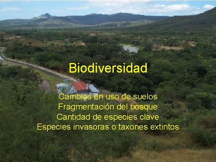 Biodiversidad Cambios en uso de suelos Fragmentación del bosque Cantidad de especies clave Especies