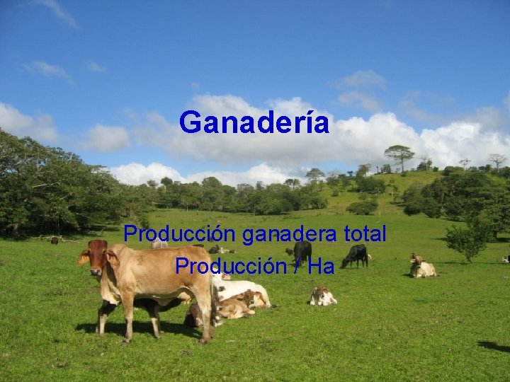 Ganadería Producción ganadera total Producción / Ha 