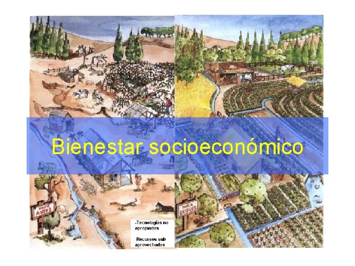 Bienestar socioeconómico 
