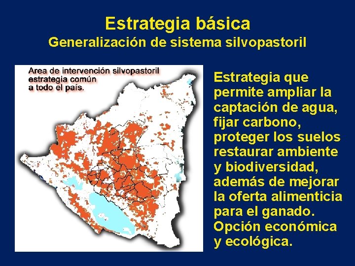 Estrategia básica Generalización de sistema silvopastoril Estrategia que permite ampliar la captación de agua,