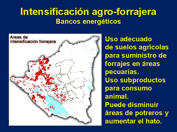 Intensificación agro-forrajera Bancos energéticos Uso adecuado de suelos agrícolas para suministro de forrajes en