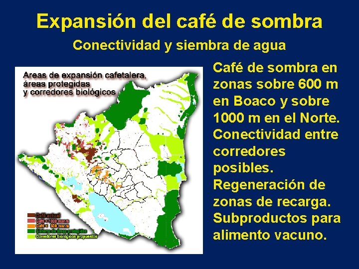 Expansión del café de sombra Conectividad y siembra de agua Café de sombra en