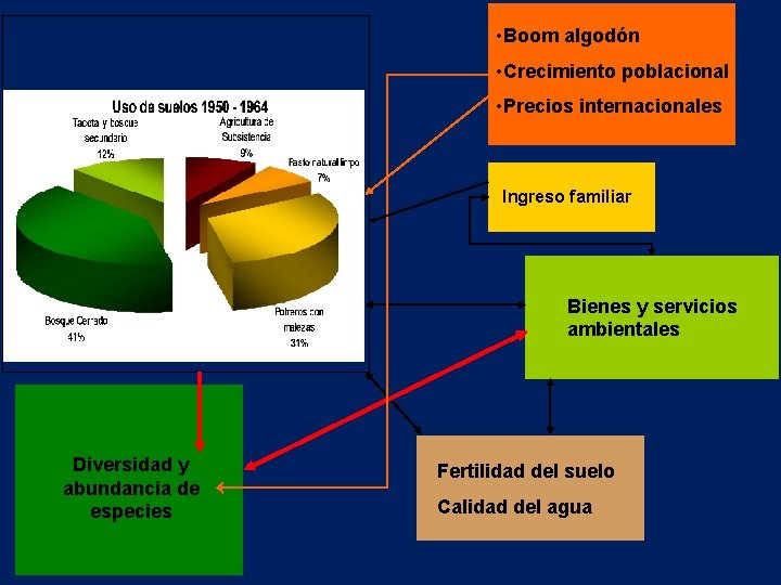  • Boom algodón • Crecimiento poblacional • Precios internacionales Ingreso familiar Bienes y