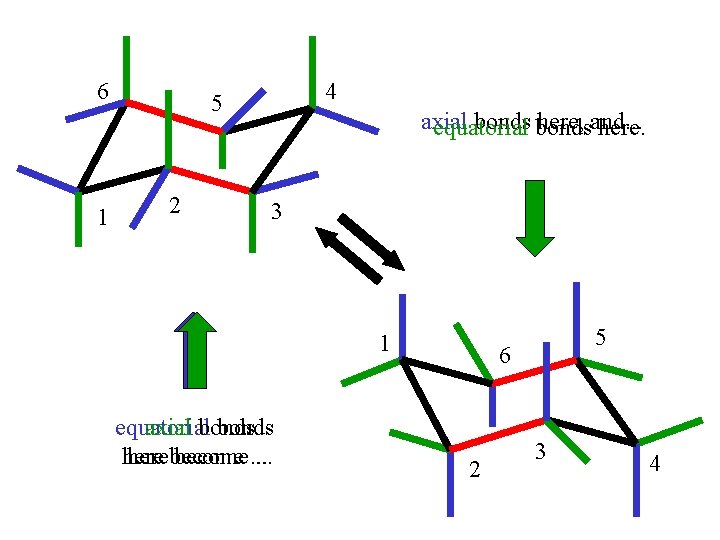 6 1 4 5 2 axial bonds here, and. . . equatorial here. 3