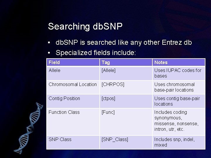 Searching db. SNP • db. SNP is searched like any other Entrez db •