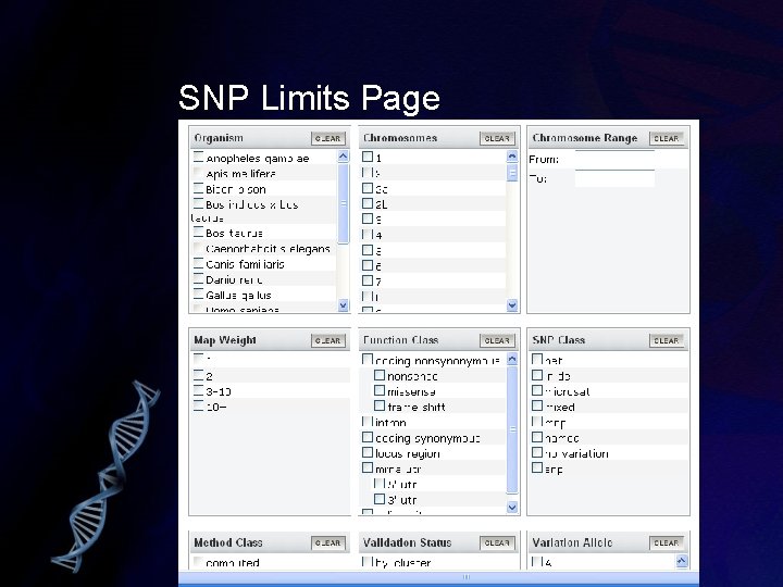 SNP Limits Page 
