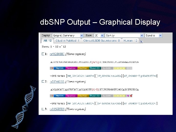 db. SNP Output – Graphical Display 