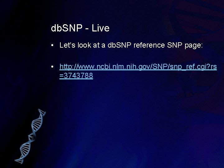db. SNP - Live • Let’s look at a db. SNP reference SNP page: