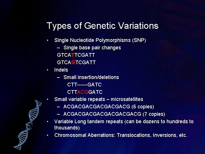 Types of Genetic Variations • • • Single Nucleotide Polymorphisms (SNP) – Single base