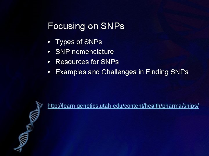 Focusing on SNPs • • Types of SNPs SNP nomenclature Resources for SNPs Examples