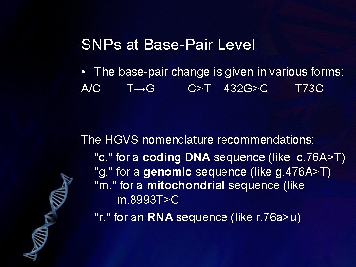 SNPs at Base-Pair Level • The base-pair change is given in various forms: A/C