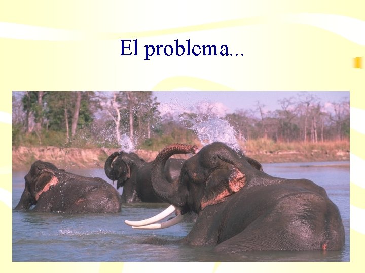 El problema. . . 