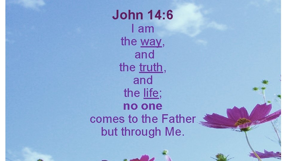 John 14: 6 I am the way, and the truth, and the life; no