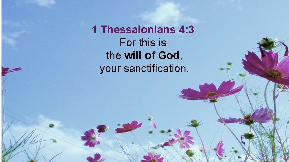 1 Thessalonians 4: 3 For this is the will of God, your sanctification. 