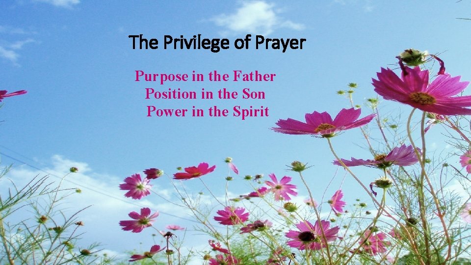 The Privilege of Prayer Purpose in the Father Position in the Son Power in