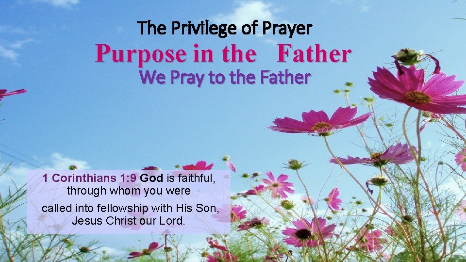 The Privilege of Prayer Purpose in the Father We Pray to the Father 1