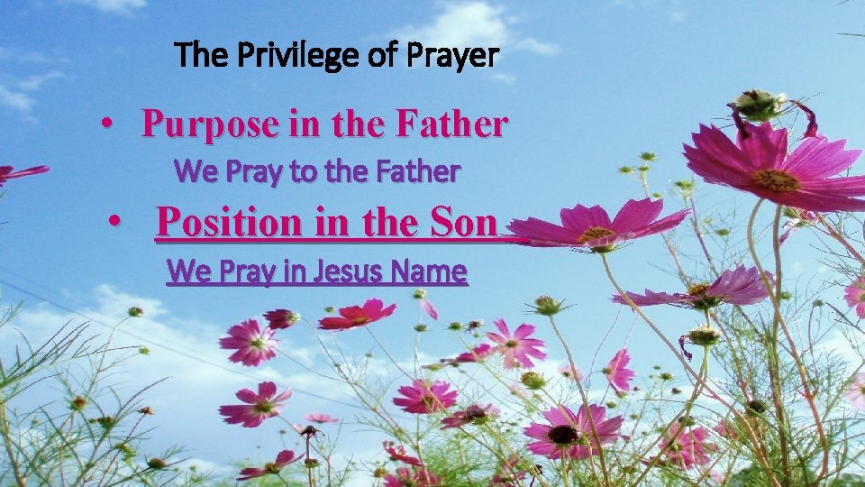 The Privilege of Prayer • Purpose in the Father We Pray to the Father