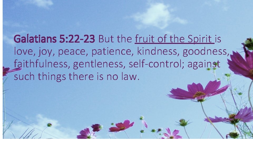 Galatians 5: 22 -23 But the fruit of the Spirit is love, joy, peace,