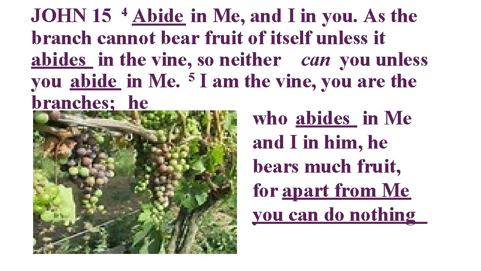 JOHN 15 4 Abide in Me, and I in you. As the branch cannot
