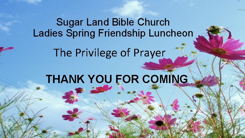 Sugar Land Bible Church Ladies Spring Friendship Luncheon The Privilege of Prayer THANK YOU