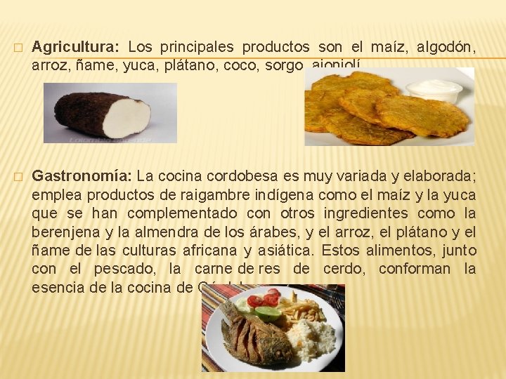 � Agricultura: Los principales productos son el maíz, algodón, arroz, ñame, yuca, plátano, coco,