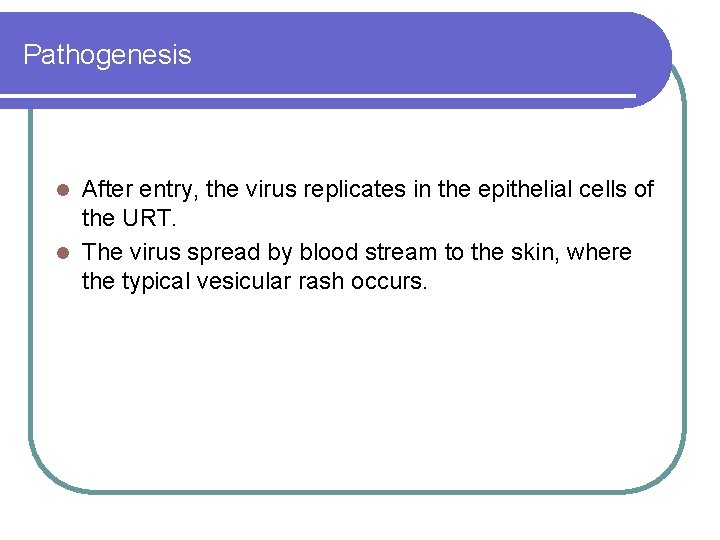 Pathogenesis After entry, the virus replicates in the epithelial cells of the URT. l Pathogenesis After entry, the virus replicates in the epithelial cells of the URT. l