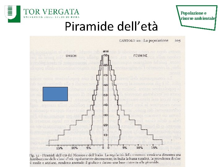 Piramide dell’età Popolazione e risorse ambientale 