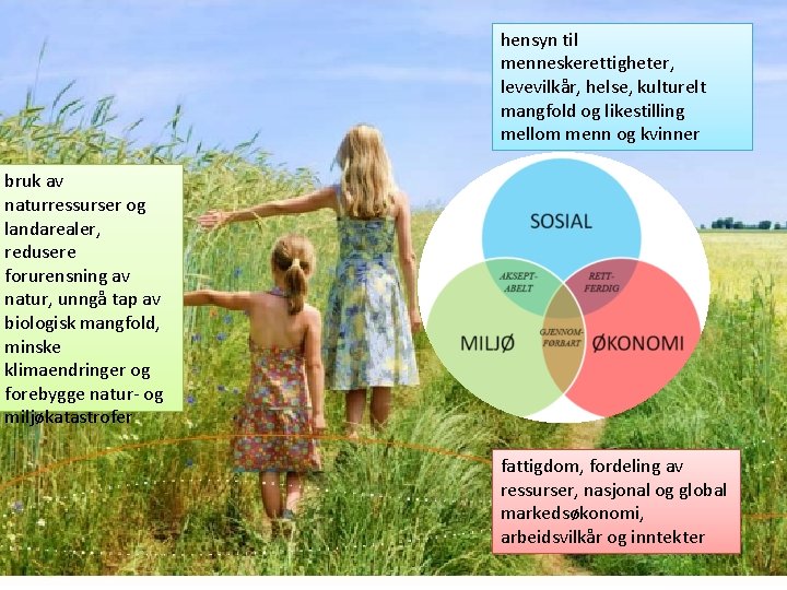 hensyn til menneskerettigheter, levevilkår, helse, kulturelt mangfold og likestilling mellom menn og kvinner bruk