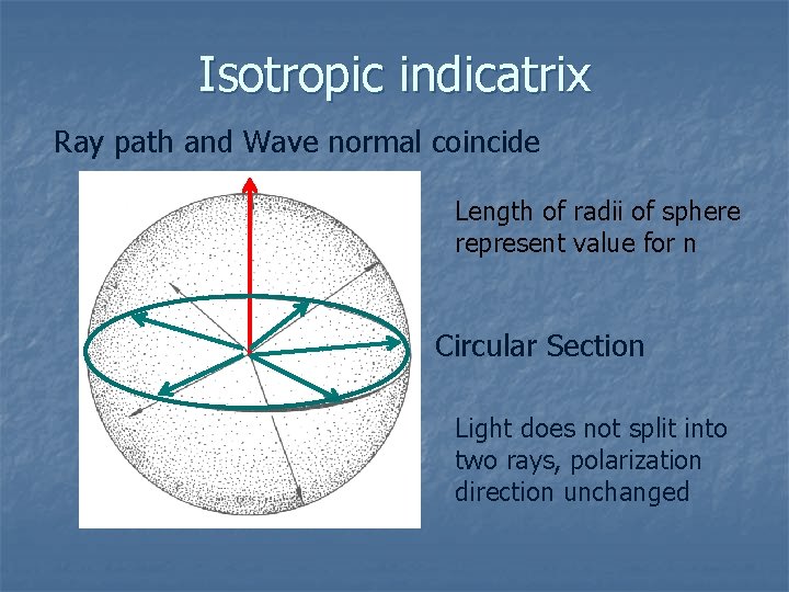 Isotropic indicatrix Ray path and Wave normal coincide Length of radii of sphere represent