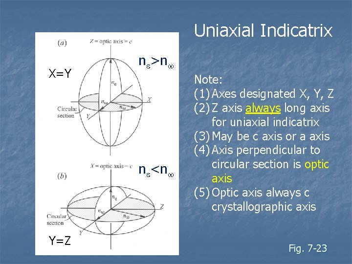 Uniaxial Indicatrix X=Y ne>nw ne<nw Y=Z Note: (1) Axes designated X, Y, Z (2)