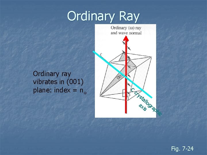 Ordinary Ray Ordinary ray vibrates in (001) plane: index = nw C cr ys