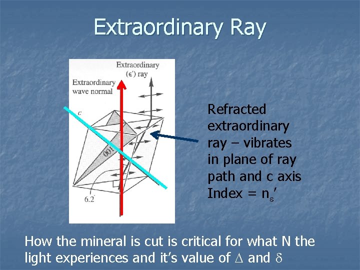 Extraordinary Ray Refracted extraordinary ray – vibrates in plane of ray path and c