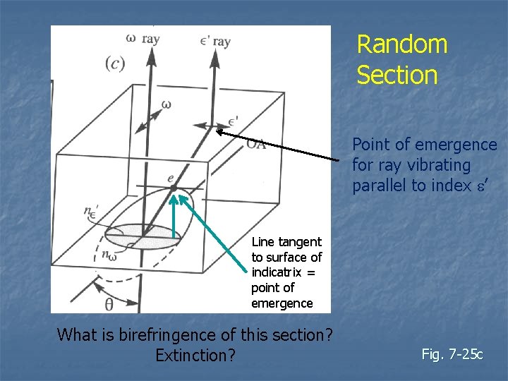 Random Section Point of emergence for ray vibrating parallel to index e’ Line tangent