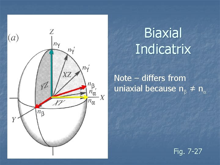 Biaxial Indicatrix Note – differs from uniaxial because nb ≠ na Fig. 7 -27