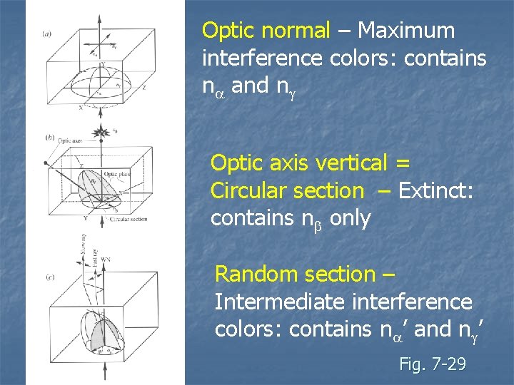 Optic normal – Maximum interference colors: contains na and ng Optic axis vertical =