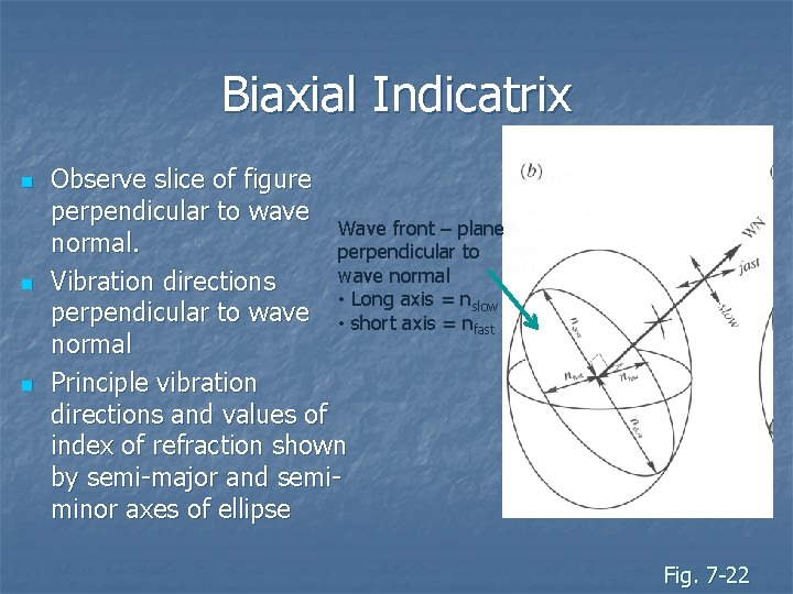 Biaxial Indicatrix n n n Observe slice of figure perpendicular to wave Wave front