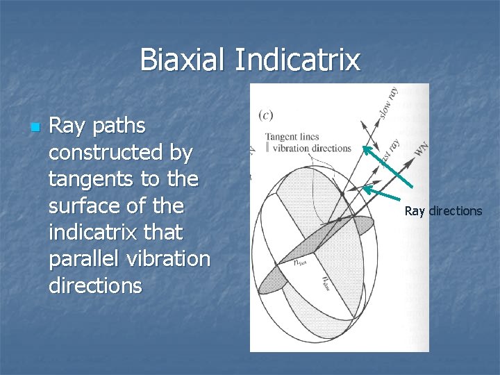 Biaxial Indicatrix n Ray paths constructed by tangents to the surface of the indicatrix