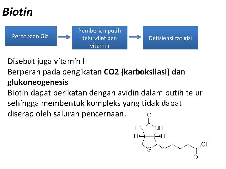 Biotin Percobaan Gizi Pemberian putih telur, diet dan vitamin Defisiensi zat gizi Disebut juga