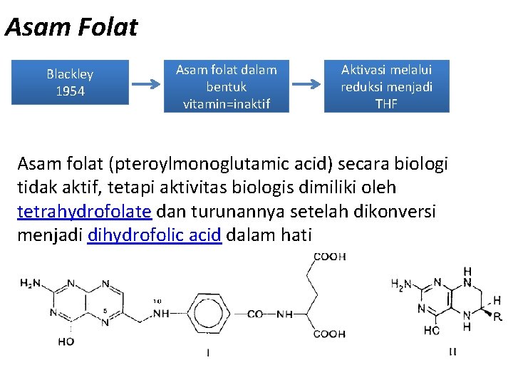 Asam Folat Blackley 1954 Asam folat dalam bentuk vitamin=inaktif Aktivasi melalui reduksi menjadi THF