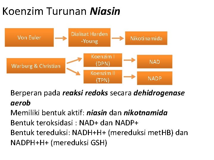 Koenzim Turunan Niasin Von Euler Warburg & Christian Dialisat Harden -Young Nikotinamida Koenzim I