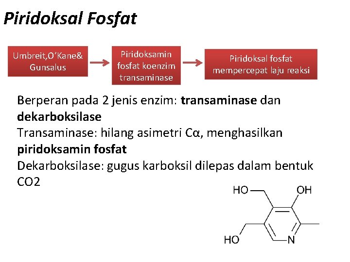 Piridoksal Fosfat Umbreit, O’Kane& Gunsalus Piridoksamin fosfat koenzim transaminase Piridoksal fosfat mempercepat laju reaksi