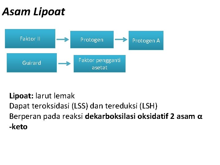 Asam Lipoat Faktor II Guirard Protogen A Faktor pengganti asetat Lipoat: larut lemak Dapat