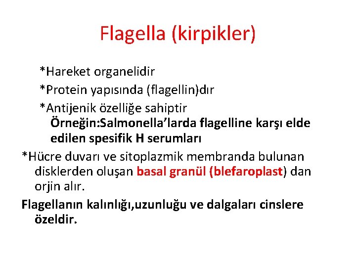Flagella (kirpikler) *Hareket organelidir *Protein yapısında (flagellin)dır *Antijenik özelliğe sahiptir Örneğin: Salmonella’larda flagelline karşı