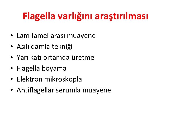 Flagella varlığını araştırılması • • • Lam-lamel arası muayene Asılı damla tekniği Yarı katı