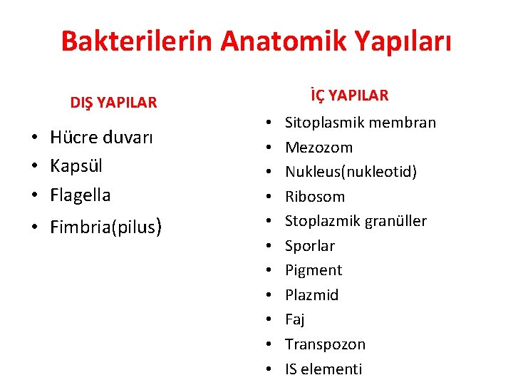 Bakterilerin Anatomik Yapıları DIŞ YAPILAR • Hücre duvarı • Kapsül • Flagella • Fimbria(pilus)
