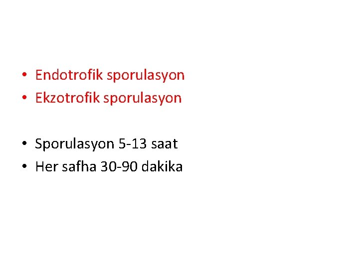  • Endotrofik sporulasyon • Ekzotrofik sporulasyon • Sporulasyon 5 -13 saat • Her