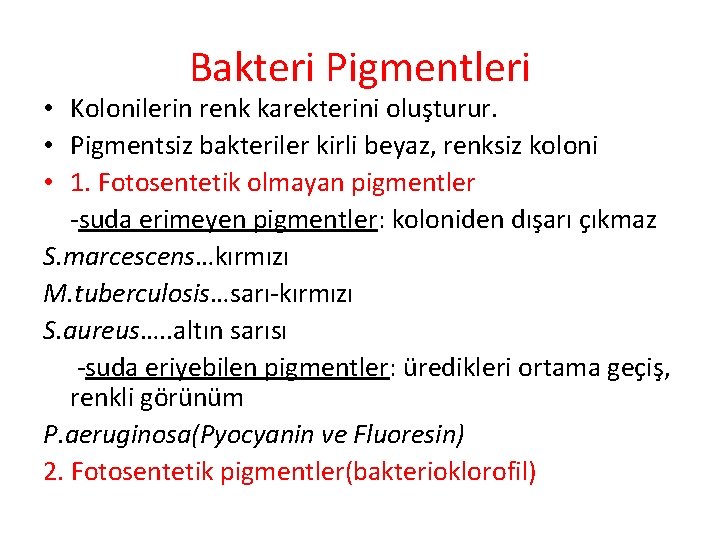 Bakteri Pigmentleri • Kolonilerin renk karekterini oluşturur. • Pigmentsiz bakteriler kirli beyaz, renksiz koloni