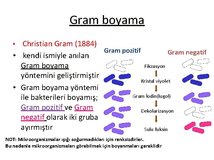 Gram boyama • Christian Gram (1884) • kendi ismiyle anılan Gram boyama yöntemini geliştirmiştir
