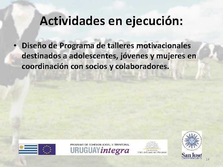 Actividades en ejecución: • Diseño de Programa de talleres motivacionales destinados a adolescentes, jóvenes