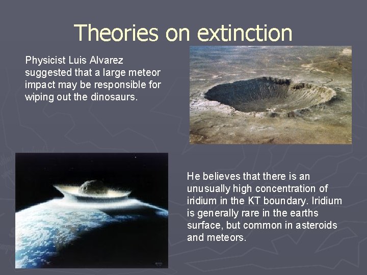 Theories on extinction Physicist Luis Alvarez suggested that a large meteor impact may be